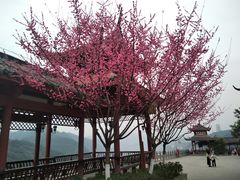 -乌江画廊(彭水苗族土家族自治县)