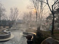-东海森林温泉度假酒店