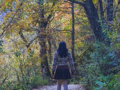 -叠溪松坪沟景区