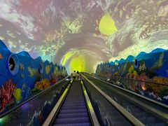 -成都浩海立方海洋公园