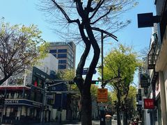 -宝健路步行街(Pedestrian Shopping Street)