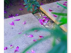 -三亚亚龙湾五号度假别墅酒店