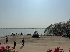 -宝安西湾红树林湿地公园