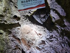 -周口店北京人遗址公园