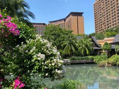 -三亚湾红树林度假世界(木棉酒店)