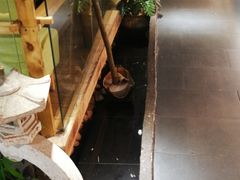 -德得轩韩式自助烤肉(兰花城店)