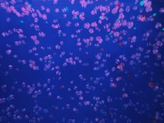 -福州罗源湾海洋世界旅游区