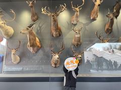 -陕西自然博物馆