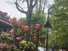 -国生茶庄·地道农家菜团建活动