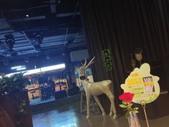 -华阳时光吧餐厅(华阳广场国际大饭店)