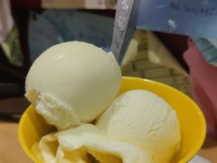 -古树酸奶(八廓南街店)