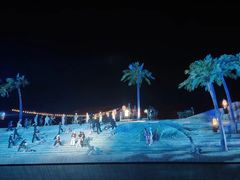 -三亚红色娘子军演艺公园景区