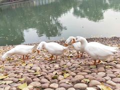 -达活泉公园