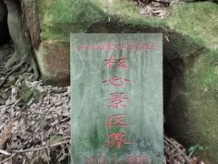 -缙云山景区