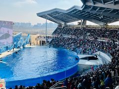 -上海海昌海洋公园