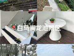 -白马涧龙池景区