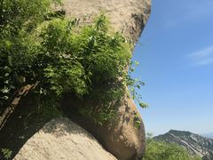 -北京凤凰岭