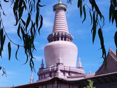 -张掖大佛寺景区