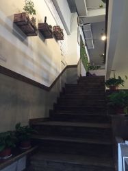 -红人馆造型十添