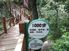 -大岭沟猕猴桃谷风景区