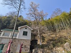 -莫干山风景区