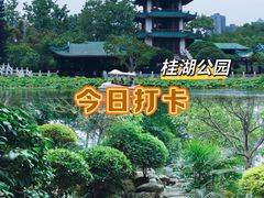 -桂湖森林公园