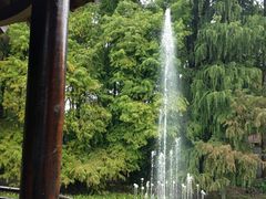 -上海共青森林公园