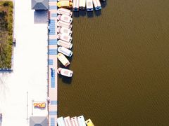 -杭州湾海上花田景区