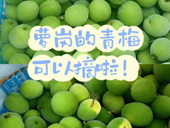-玉树公园