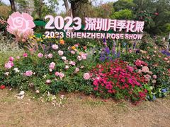 -人民公园(罗湖区)