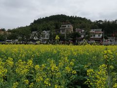 -红山村