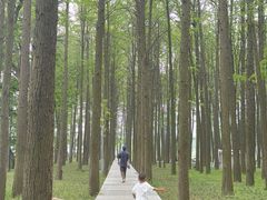 -汉水公园