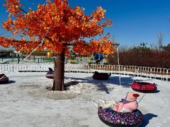 -绿野森林乐园冰雪季