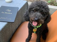 -La Medina餐厅(亮马河南路店)