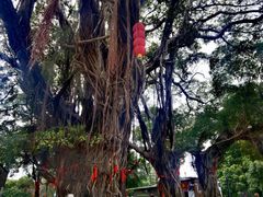 -烟桥古村