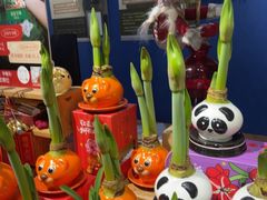 -弗劳尔花艺坊(龙涛店)