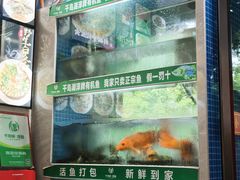 -全乐鱼馆·淳牌有机鱼直营店
