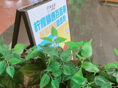 百香果幸运冰-幸运咖(公园茂直营店)