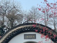 -杭州植物园
