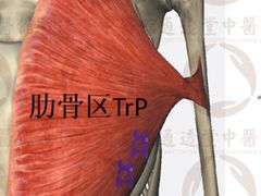 -通透堂中医·精准推拿(旗舰店)