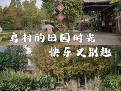 -乌村