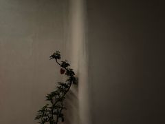 -和畅唐山汤