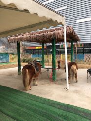 -萌宠亲子动物乐园(槐房万达店)