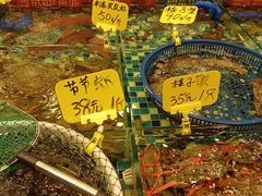 -厦门轮渡码头