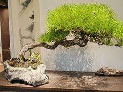 -双季花艺园艺市场(浦东店)