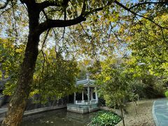 -深圳国际园林花卉博览园