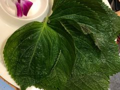 -千纸鹤嫩汁烤肉(西大直街店)