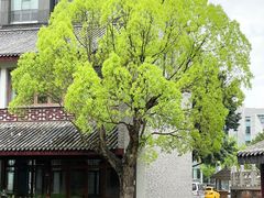 -龙潭水乡