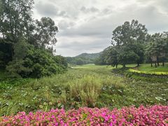 -广州雕塑公园