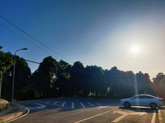 -铁山坪森林公园